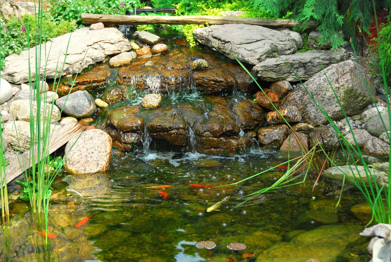 Binford Insect Control Inc