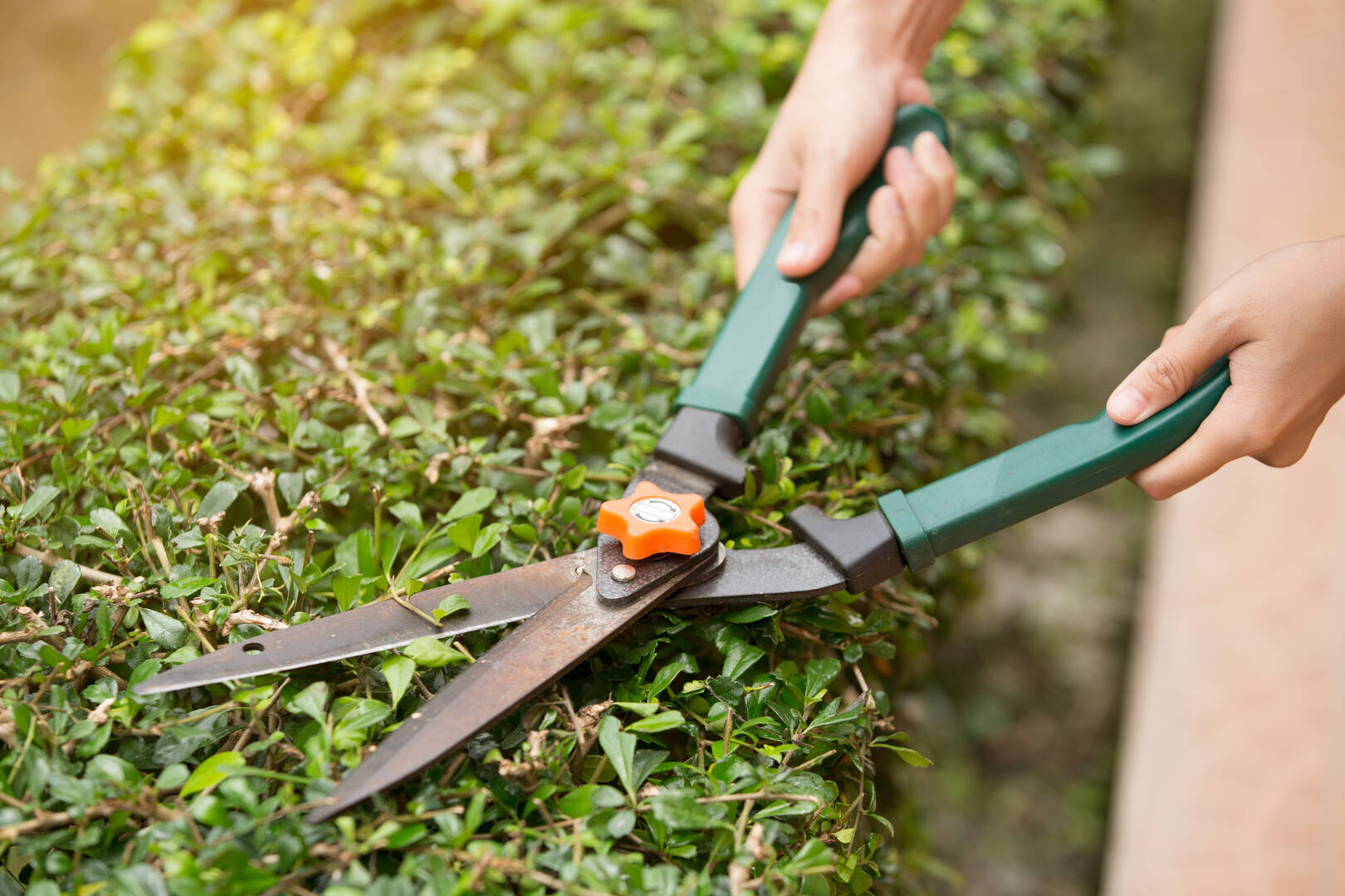 Mercuri Garden & Building Supplies