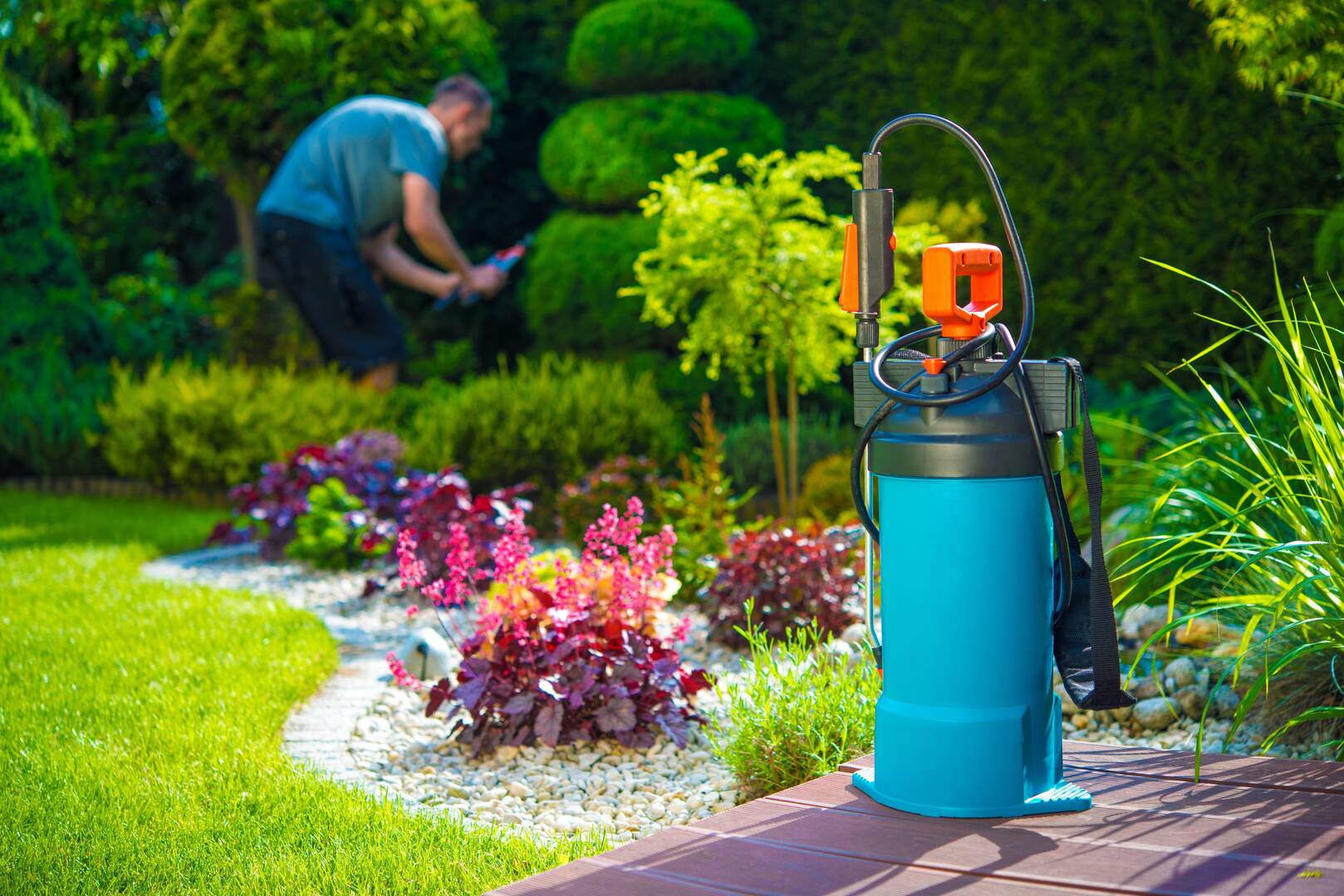 Affordable Carolina Tree Service