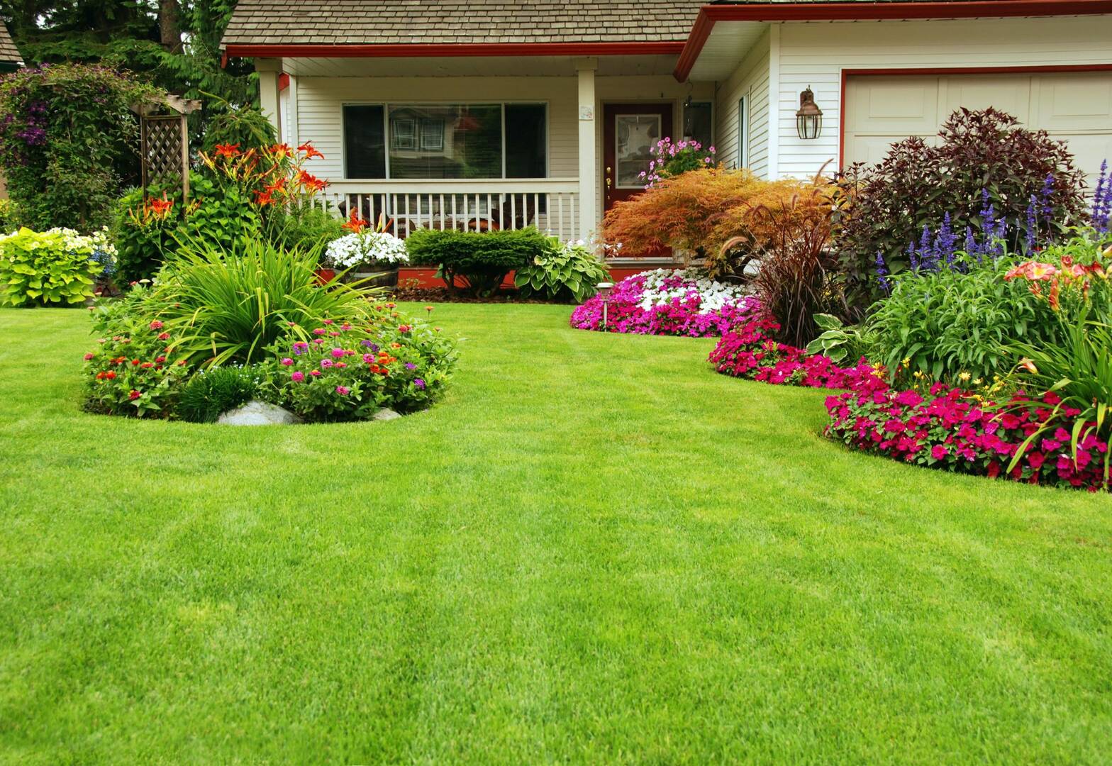 American Pest Professionals