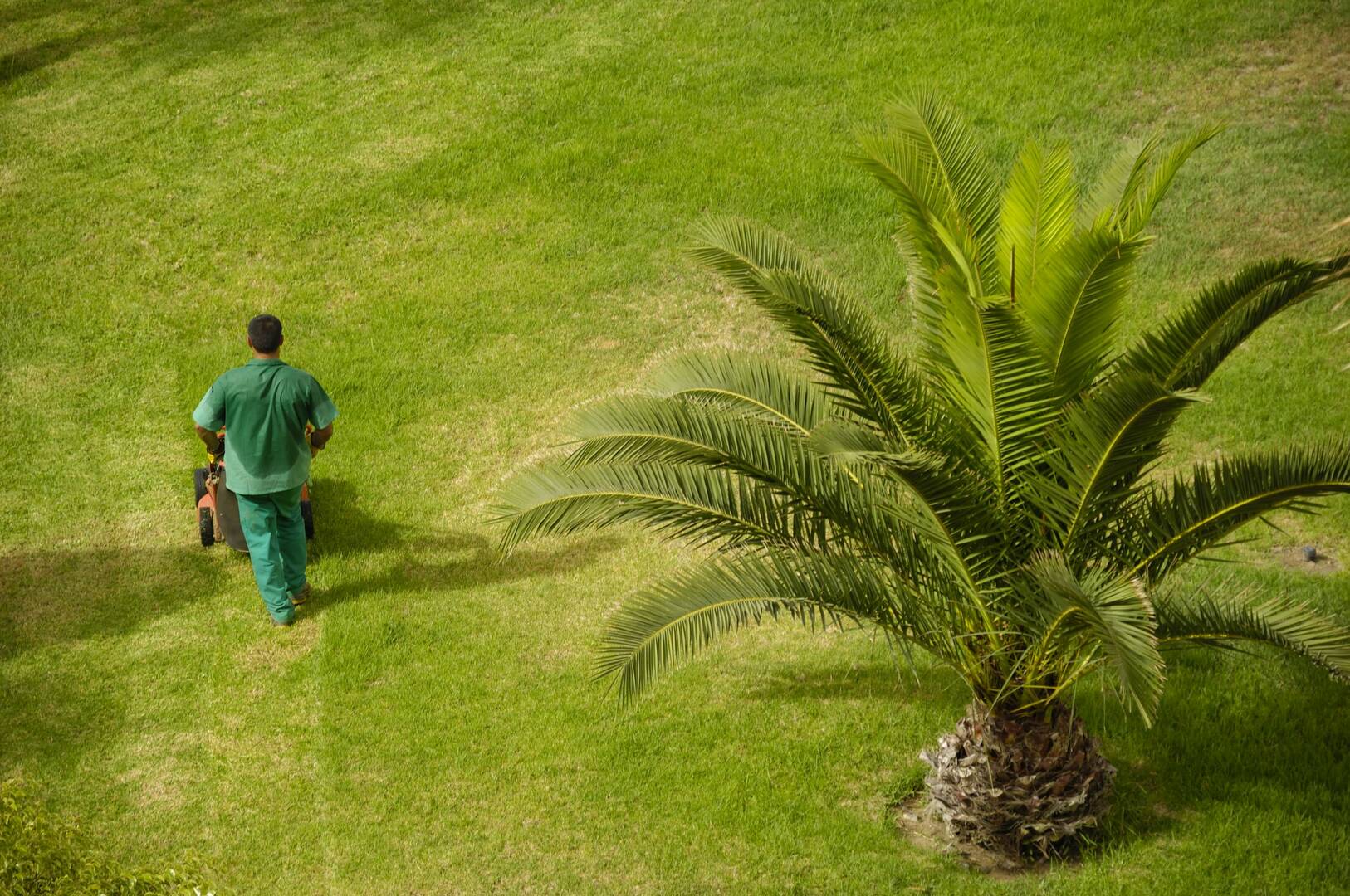 Tampa Bay Pest Management