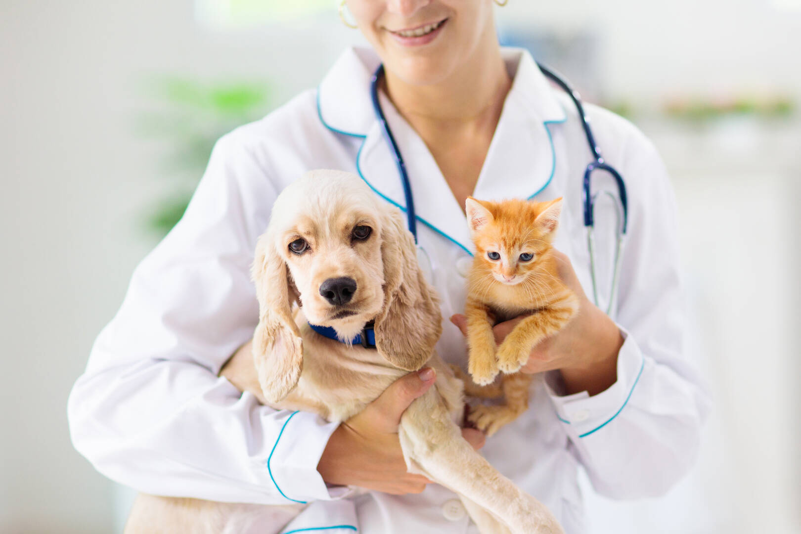 Penn-Ohio Veterinary Services